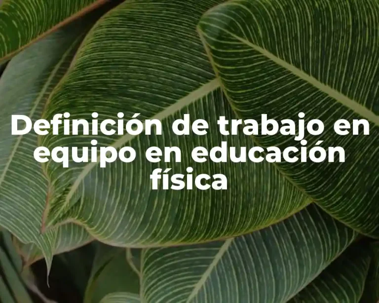 Definición de trabajo en equipo en educación física
