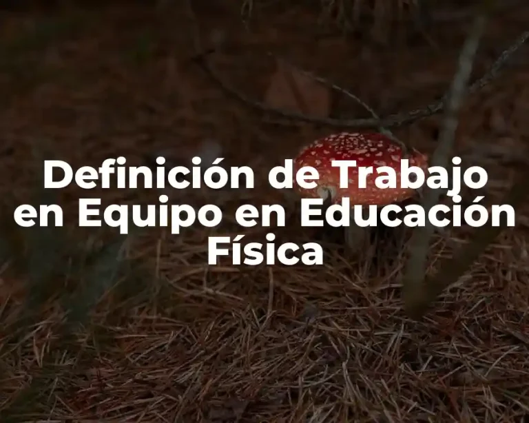 Definición de Trabajo en Equipo en Educación Física