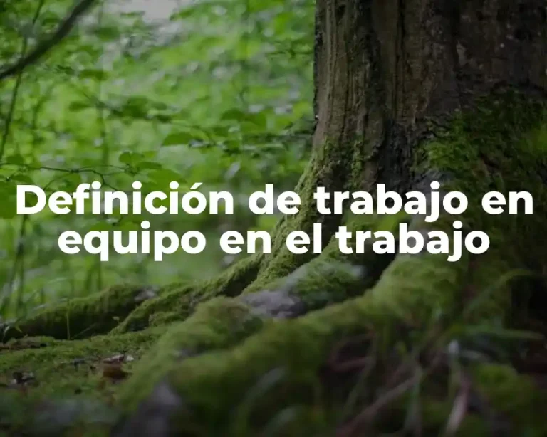 Definición de trabajo en equipo en el trabajo