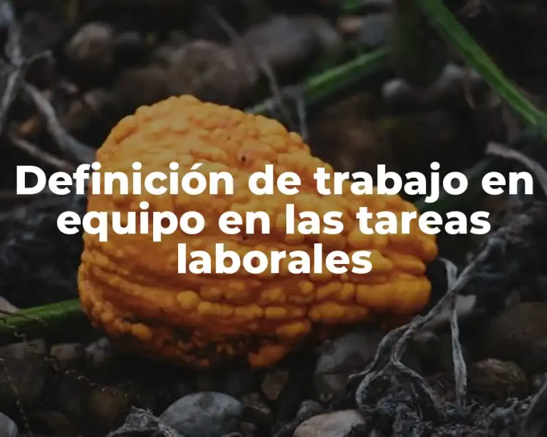 Definición de trabajo en equipo en las tareas laborales