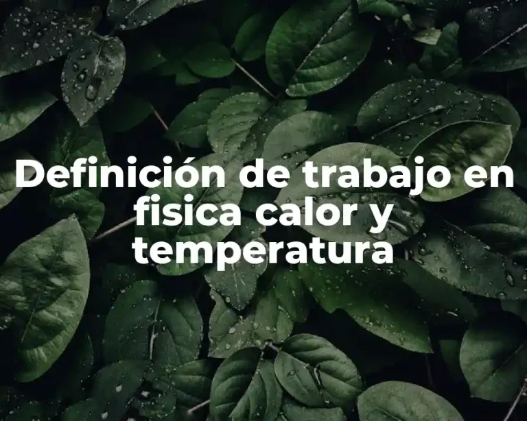 Definición de trabajo en fisica calor y temperatura