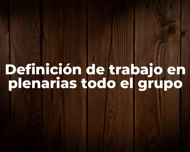 Definición de trabajo en plenarias todo el grupo