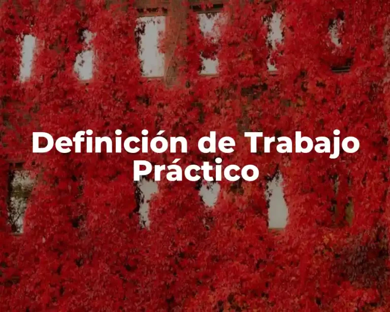 Definición de Trabajo Práctico