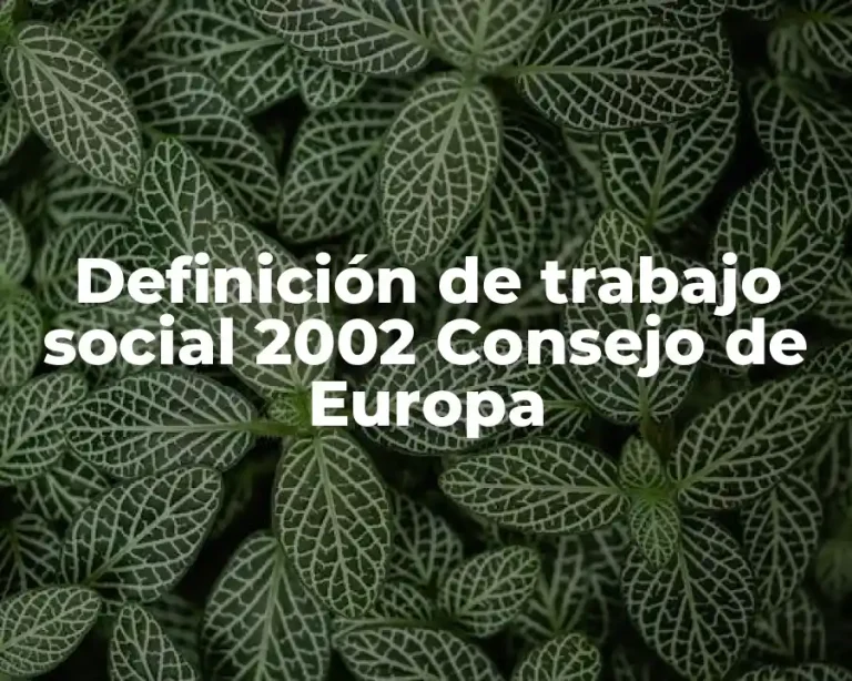 Definición de trabajo social 2002 Consejo de Europa