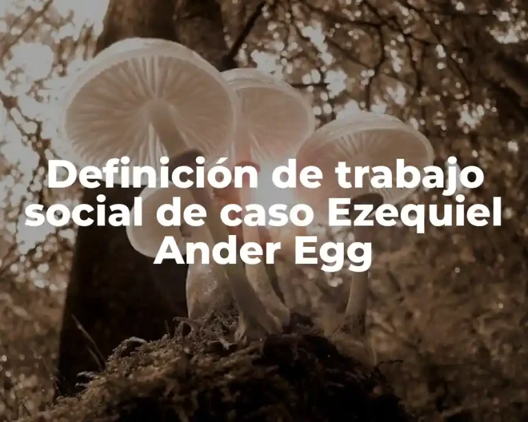 Definición de trabajo social de caso Ezequiel Ander Egg