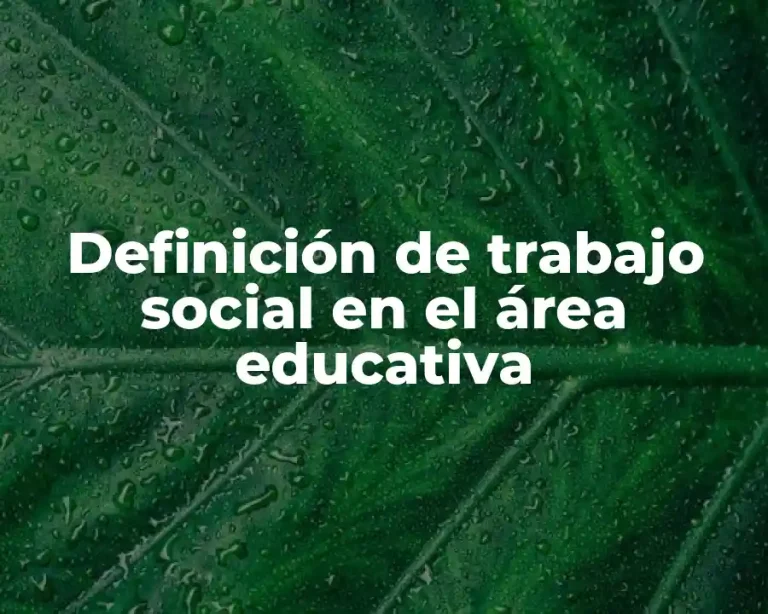 Definición de trabajo social en el área educativa