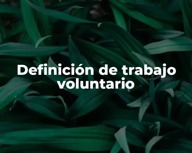 Definición de trabajo voluntario