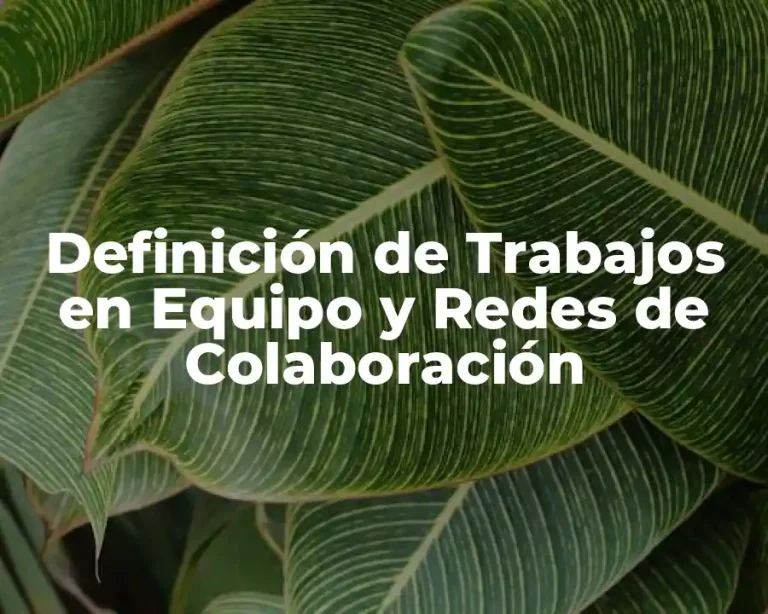 Definición de Trabajos en Equipo y Redes de Colaboración