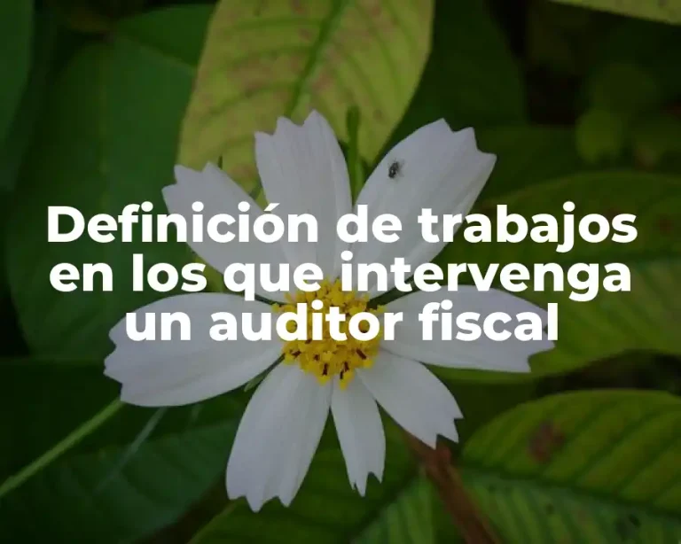 Definición de trabajos en los que intervenga un auditor fiscal