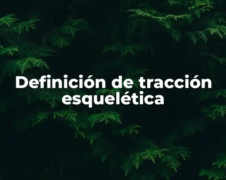 Definición de tracción esquelética