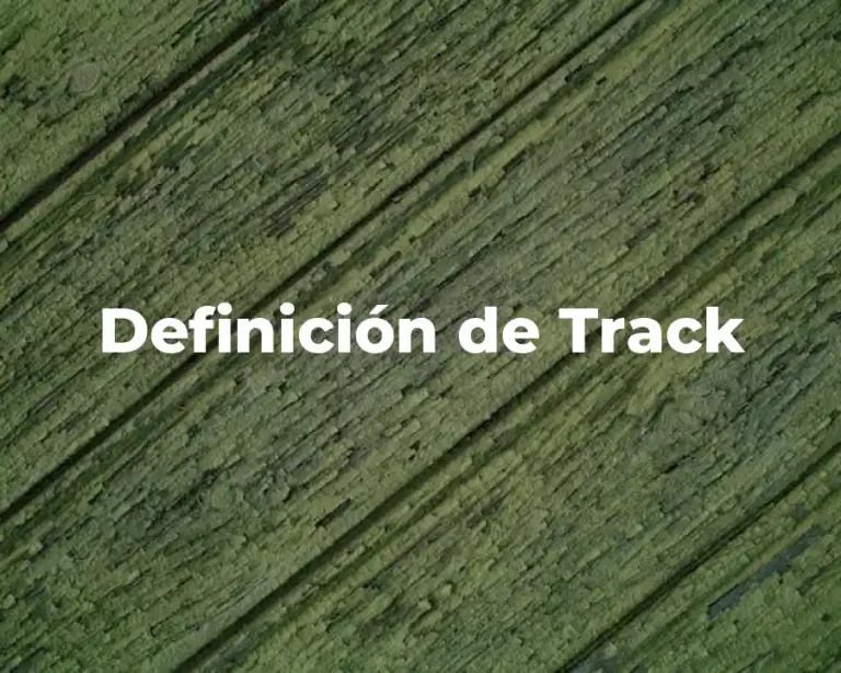 Definición de Track