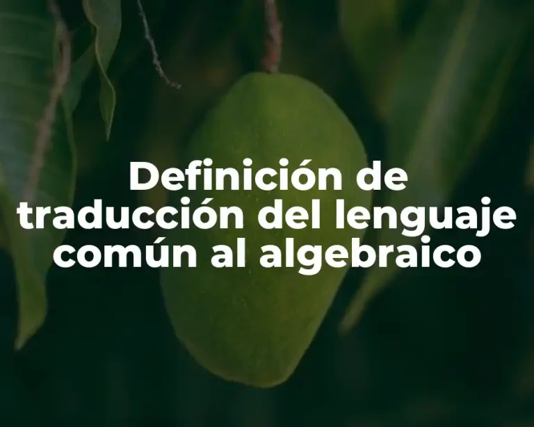 Definición de traducción del lenguaje común al algebraico