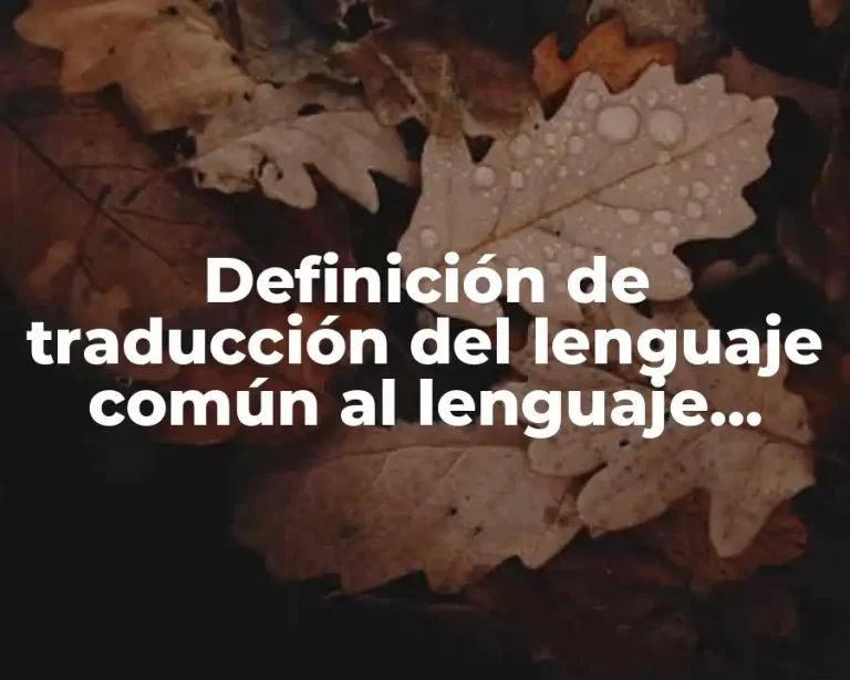 Definición de traducción del lenguaje común al lenguaje algebraico