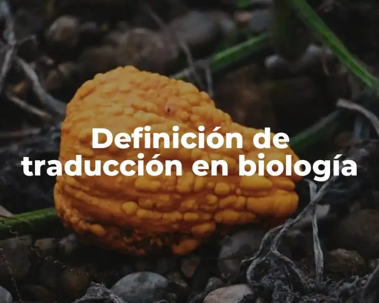 Definición de traducción en biología