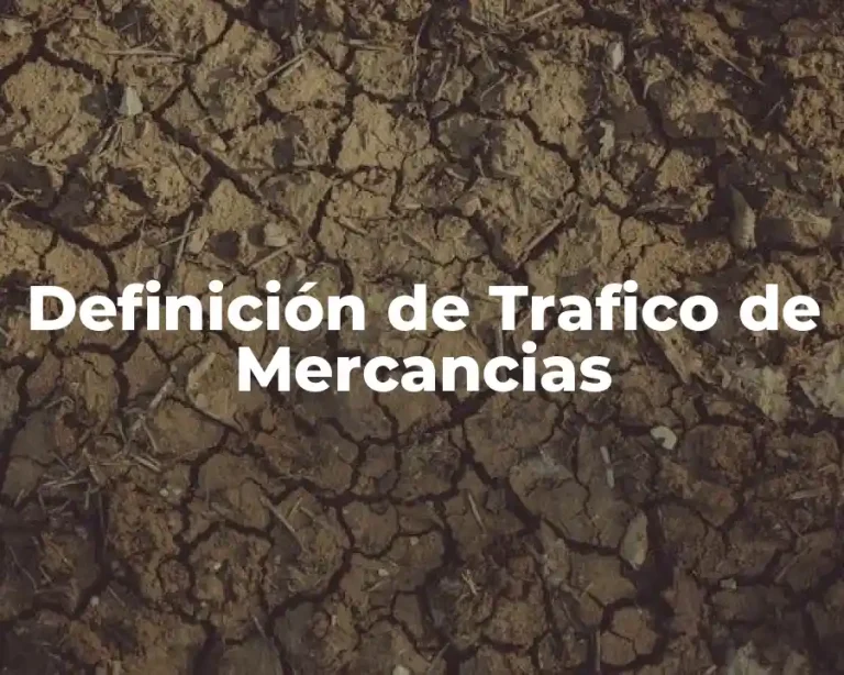 Definición de Trafico de Mercancias