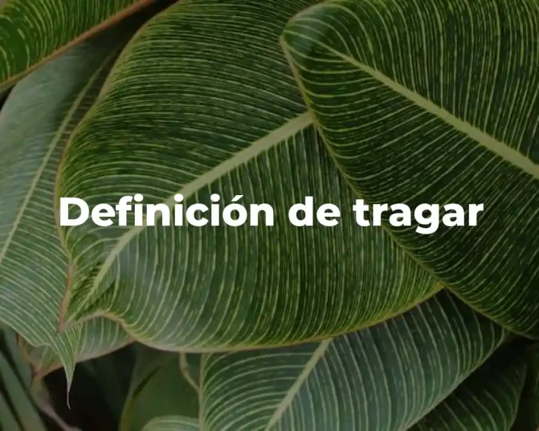 Definición de tragar