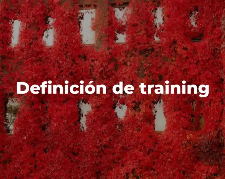 Definición de training