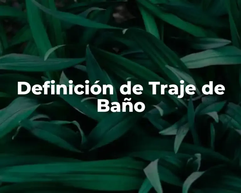 Definición de Traje de Baño