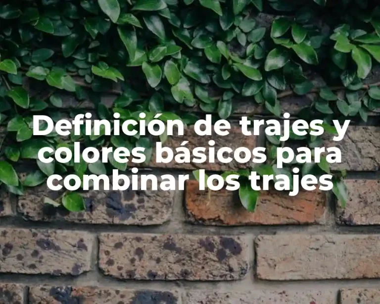 Definición de trajes y colores básicos para combinar los trajes