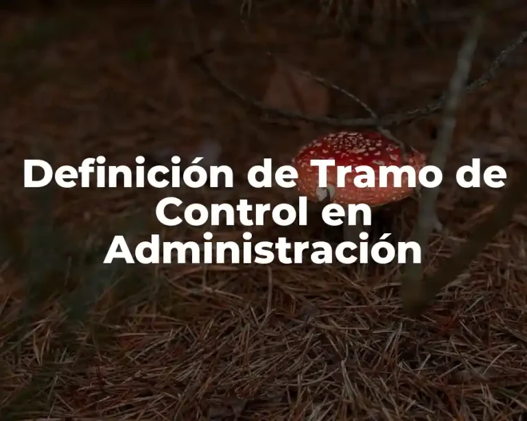 Definición de Tramo de Control en Administración