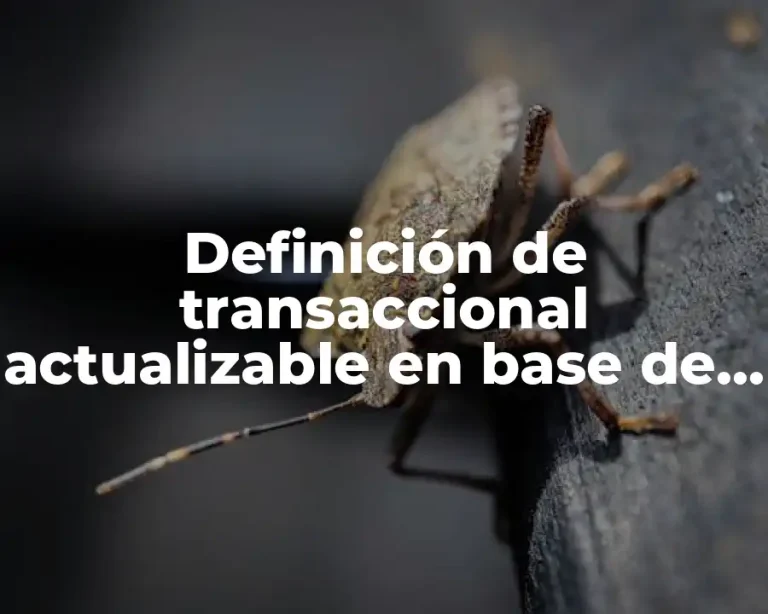 Definición de transaccional actualizable en base de datos