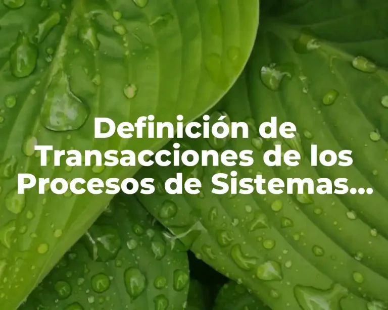 Definición de Transacciones de los Procesos de Sistemas Operativos
