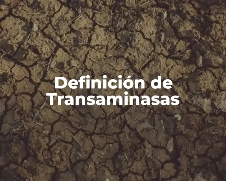 Definición de Transaminasas