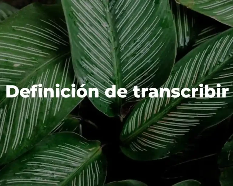 Definición de transcribir