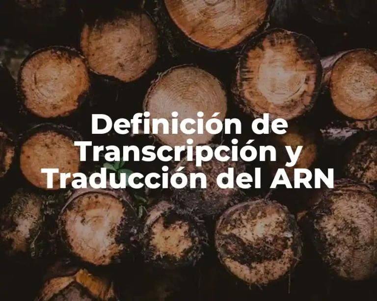 Definición de Transcripción y Traducción del ARN