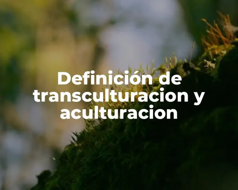 Definición de transculturacion y aculturacion