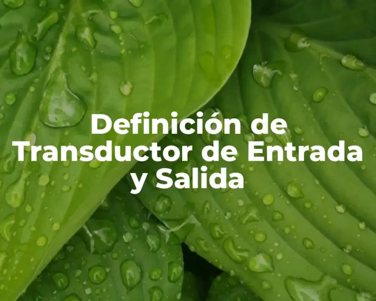 Definición de Transductor de Entrada y Salida