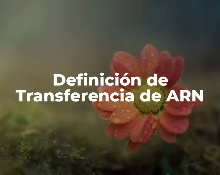 Definición de Transferencia de ARN