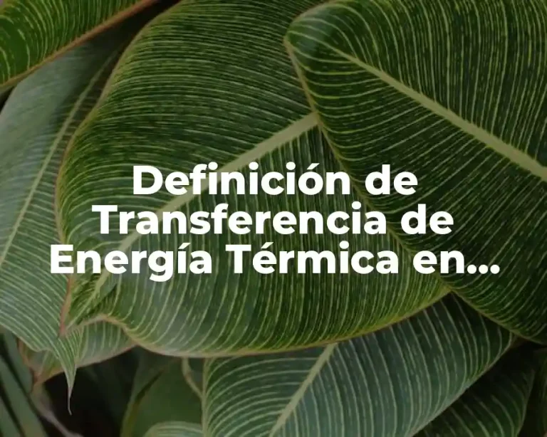 Definición de Transferencia de Energía Térmica en Física