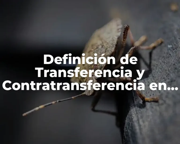 Definición de Transferencia y Contratransferencia en Psicología