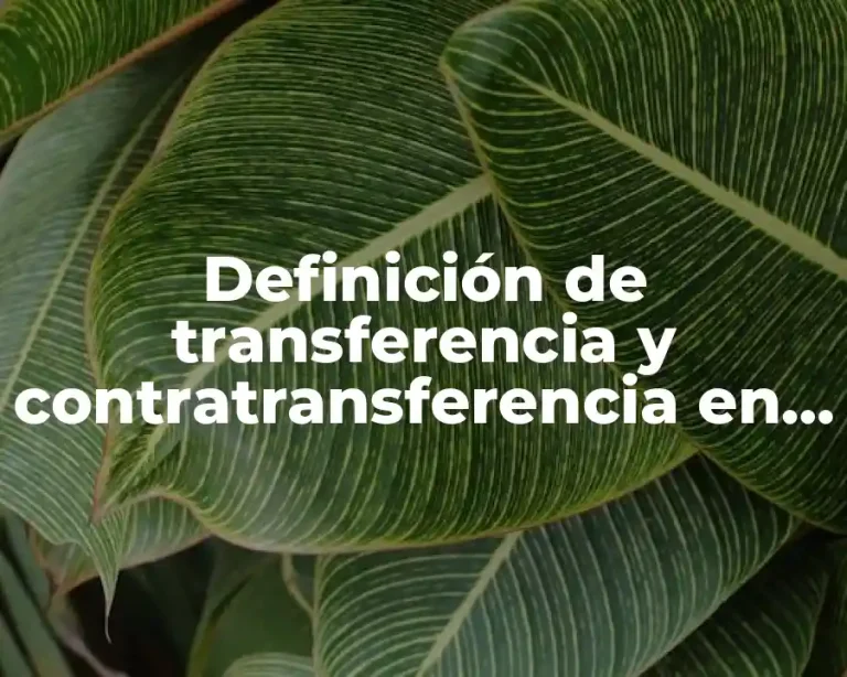 Definición de transferencia y contratransferencia en psicología