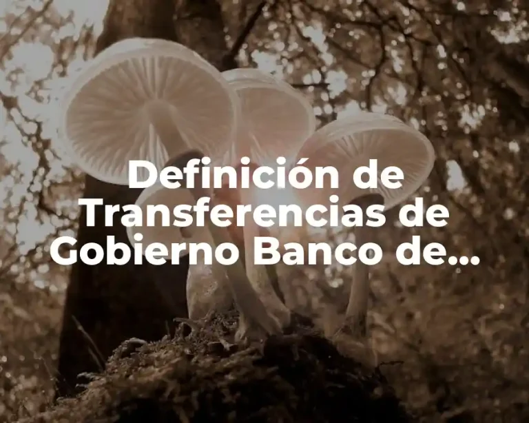 Definición de Transferencias de Gobierno Banco de México