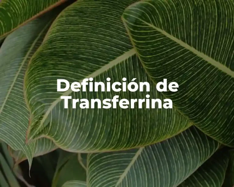 Definición de Transferrina
