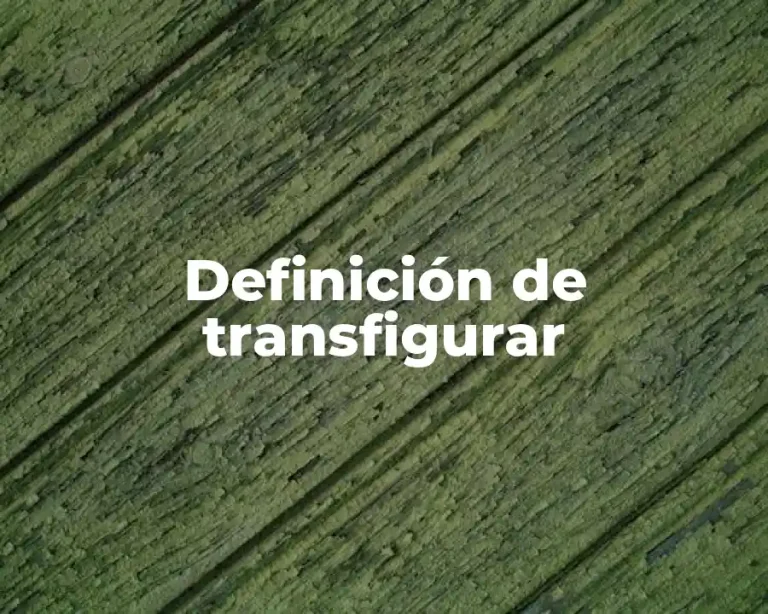 Definición de transfigurar