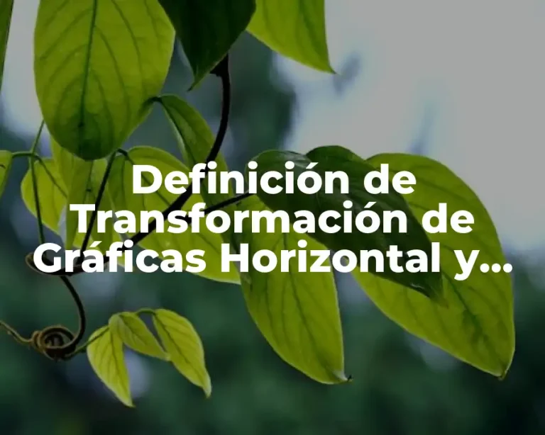 Definición de Transformación de Gráficas Horizontal y Vertical