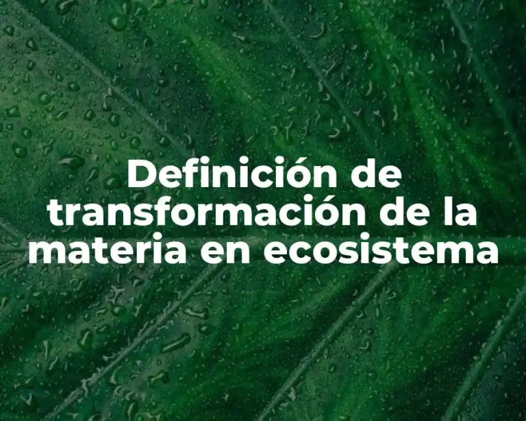 Definición de transformación de la materia en ecosistema