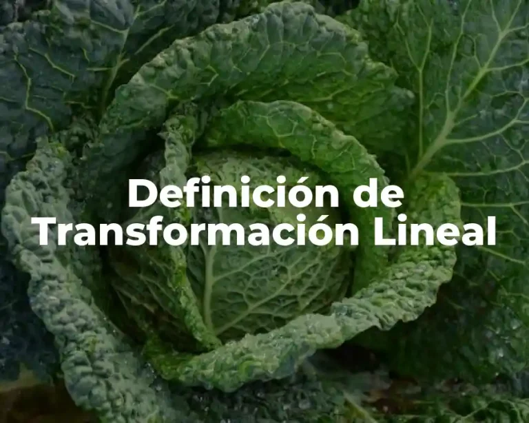 Definición de Transformación Lineal