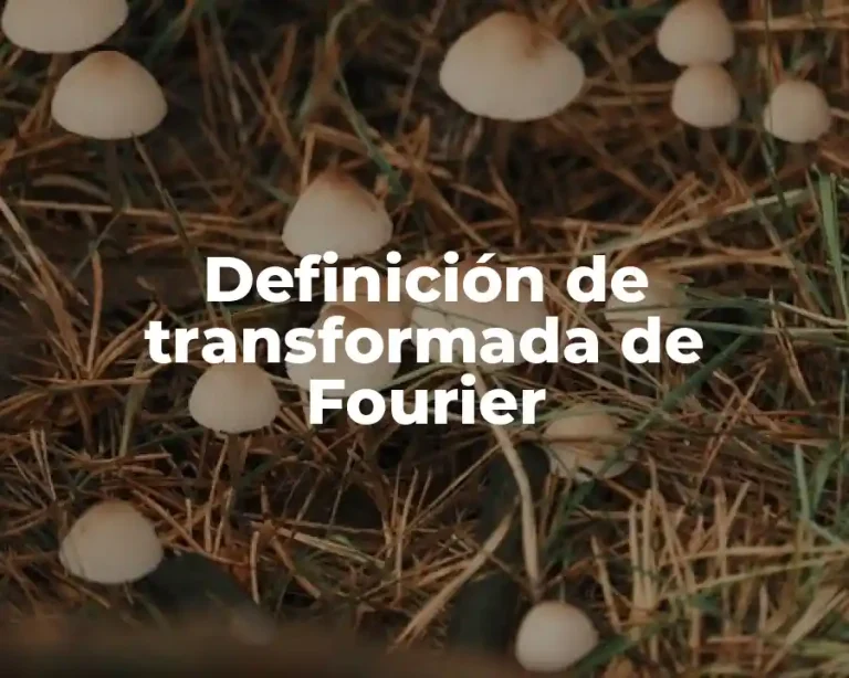 Definición de transformada de Fourier