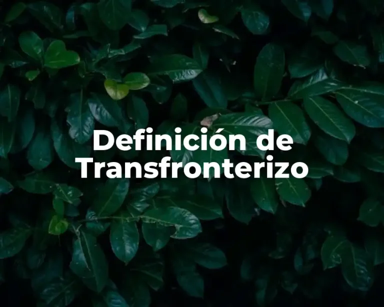 Definición de Transfronterizo