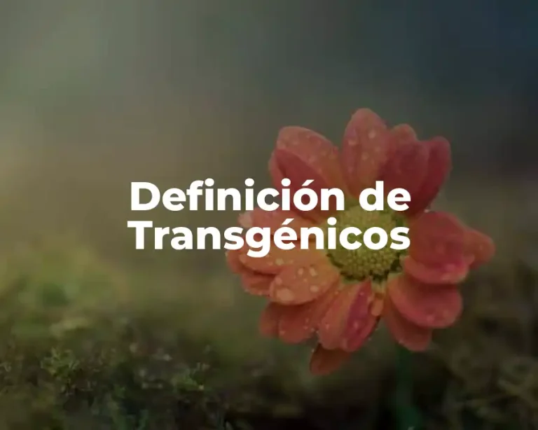 Definición de Transgénicos