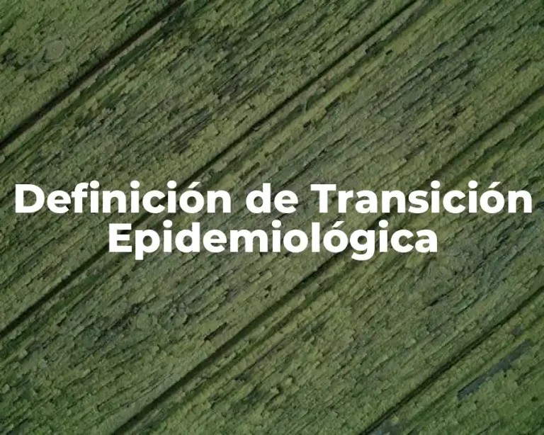 Definición de Transición Epidemiológica