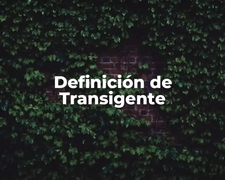 Definición de Transigente