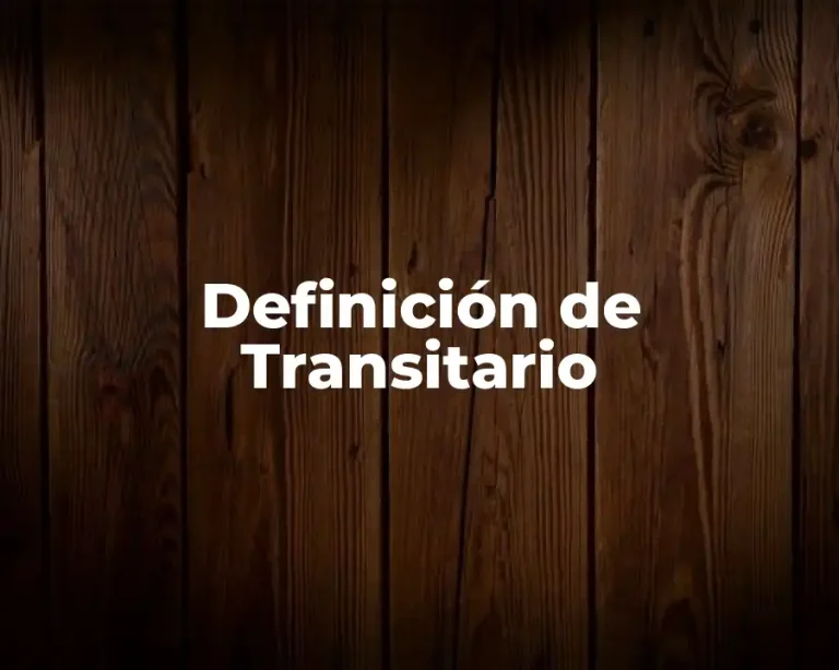 Definición de Transitario