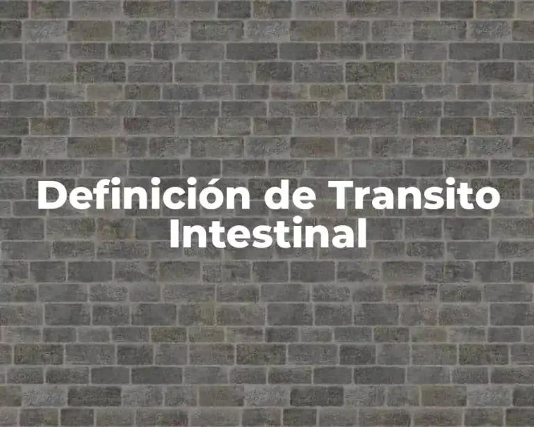 Definición de Transito Intestinal