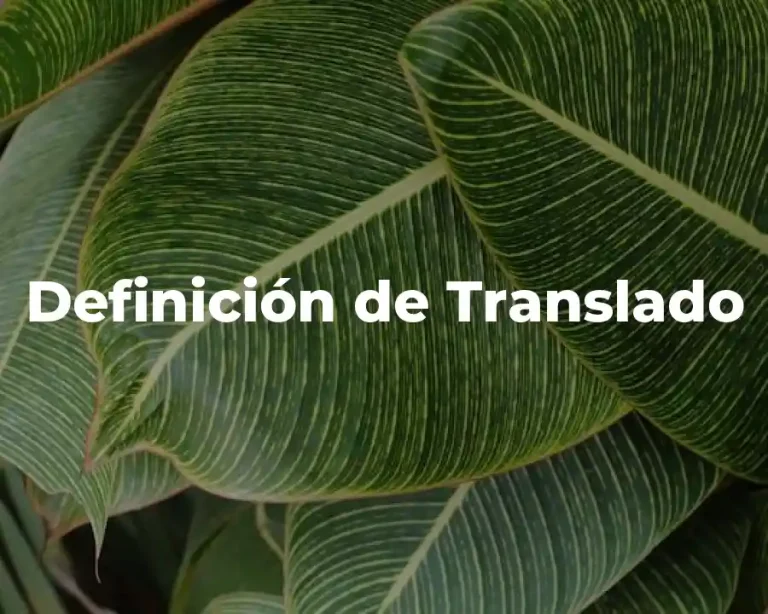 Definición de Translado