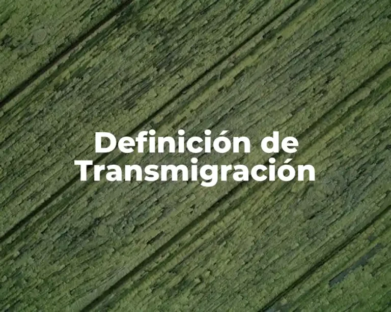 Definición de Transmigración